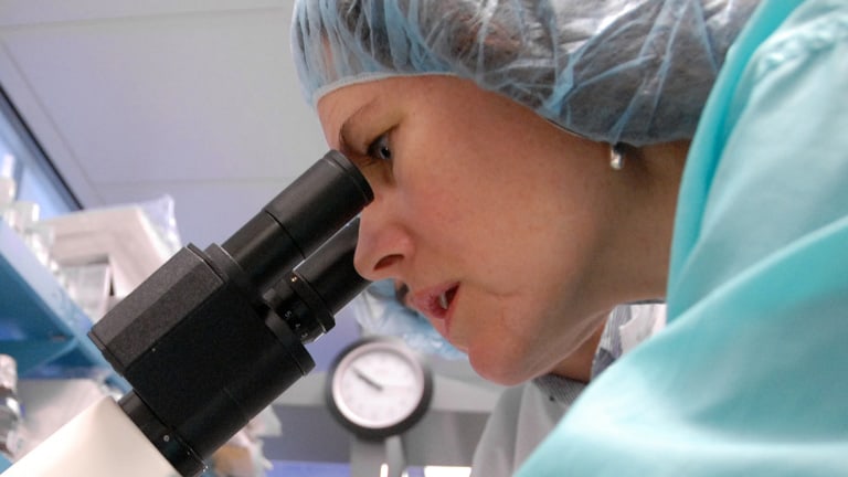 An NC State researcher peers through a microscope as part of our innovative research.